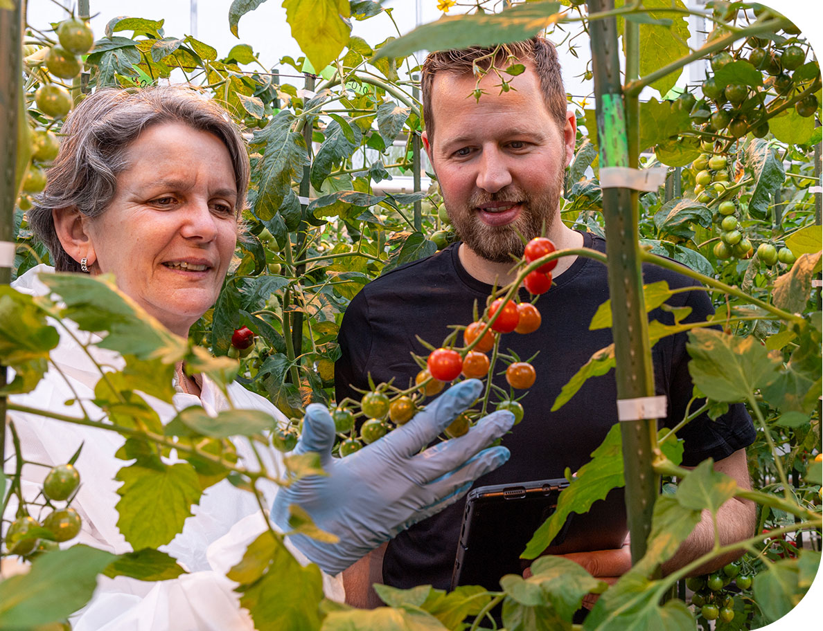 vreugendehil-breeding-seeds-over-ons2