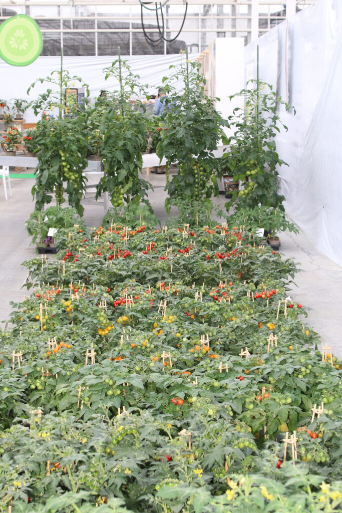 Visit our Variety Trials 2025
